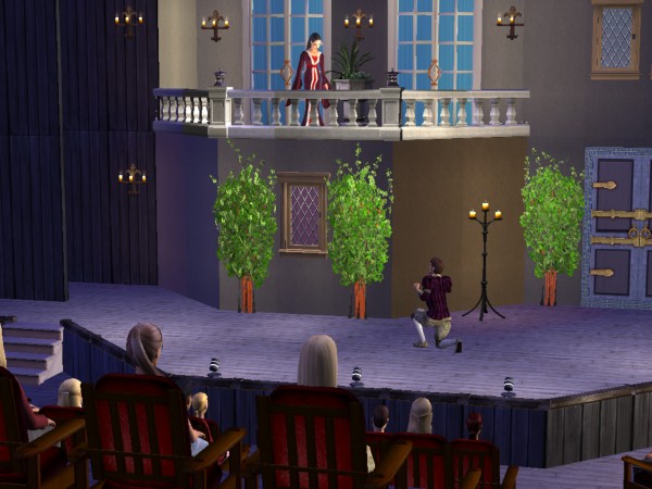 The audience watches the play