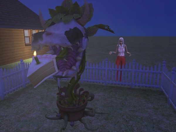 Demi and the cow plant